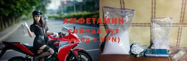 ГАЛЛЮЦИНОГЕННЫЕ ГРИБЫ Гусев