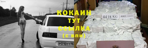 ГАЛЛЮЦИНОГЕННЫЕ ГРИБЫ Гусев