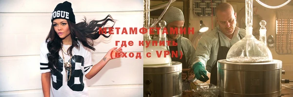 ГАЛЛЮЦИНОГЕННЫЕ ГРИБЫ Гусев