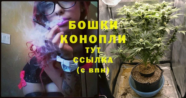 прущие крисы Гусь-Хрустальный
