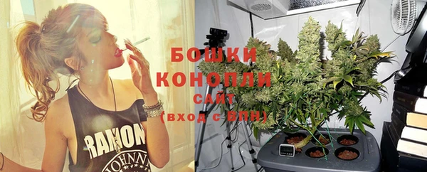 ГАЛЛЮЦИНОГЕННЫЕ ГРИБЫ Гусев