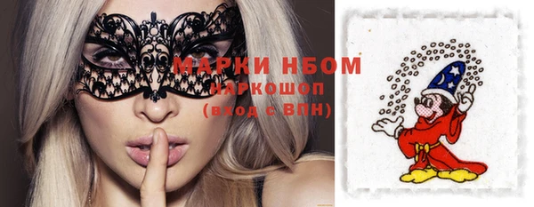 ГАЛЛЮЦИНОГЕННЫЕ ГРИБЫ Гусев