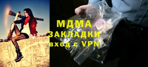 ГАЛЛЮЦИНОГЕННЫЕ ГРИБЫ Гусев